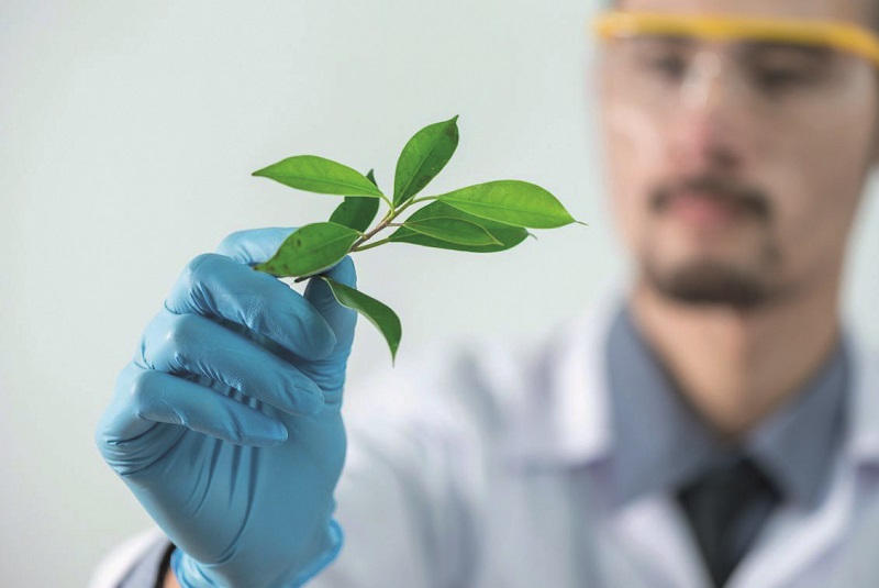 Looking beyond cleaning performance